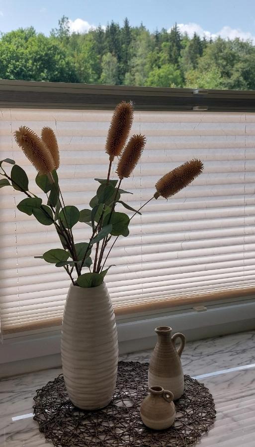 Am Quellenhaeuschen Apartman Naila Kültér fotó