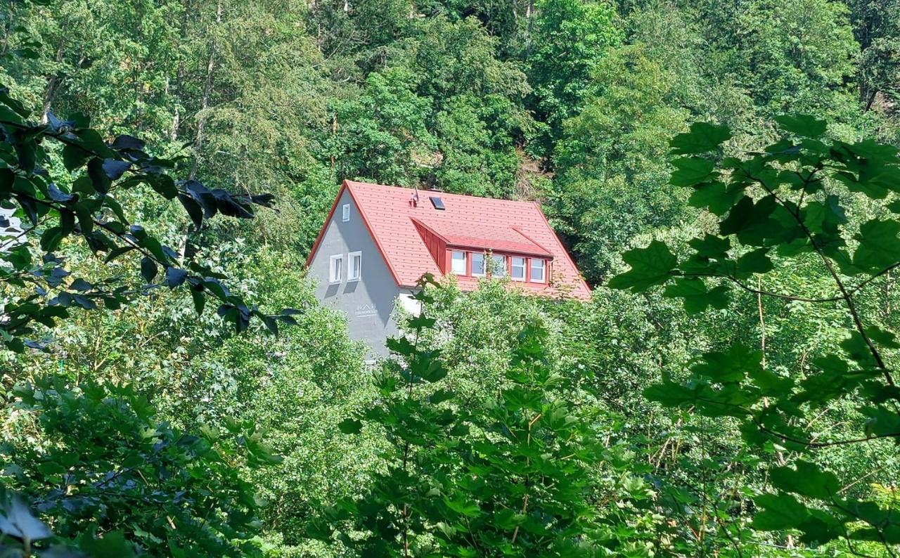 Am Quellenhaeuschen Apartman Naila Kültér fotó